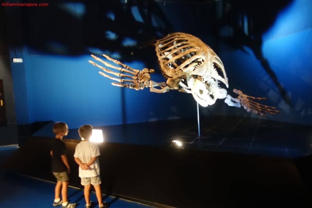 Museo Paleontológico - Dinópolis